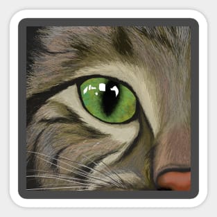 Peeking Cat Face Grey Shorthair Sticker